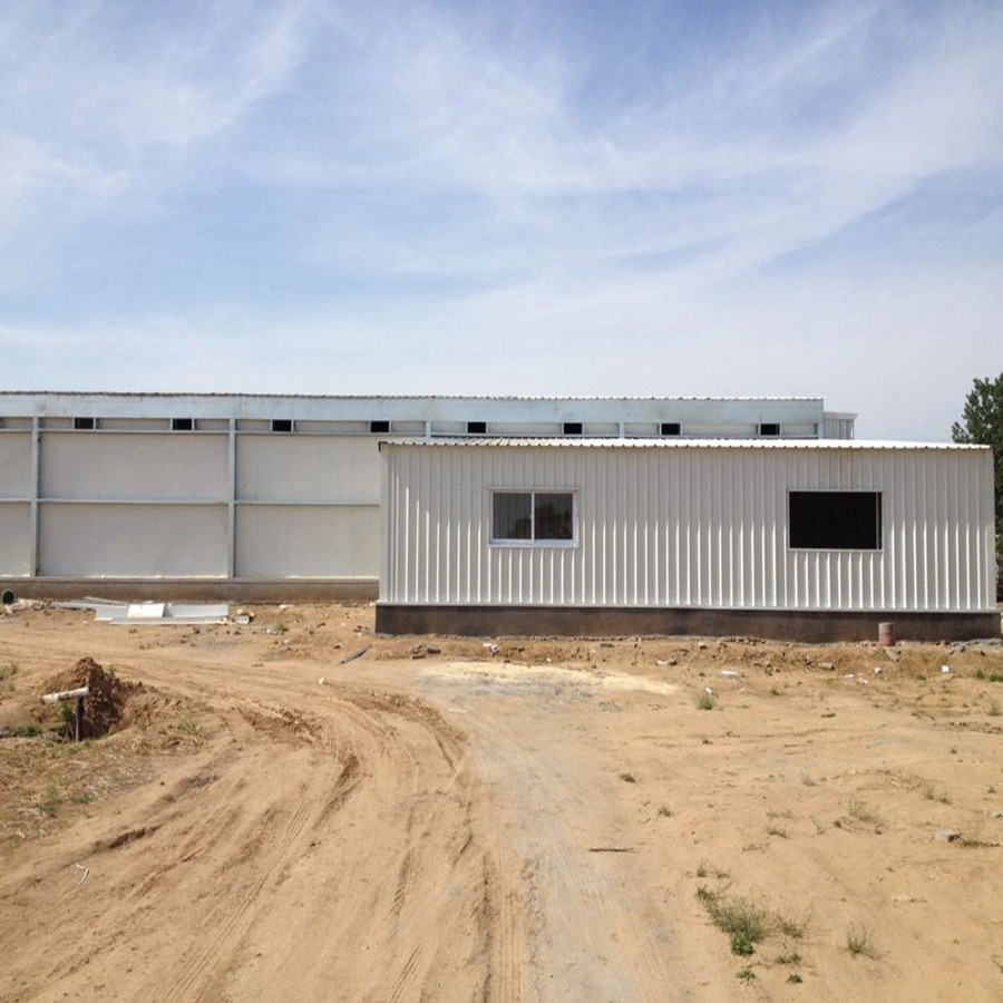 Automatic Poultry Chicken Layers Cages System